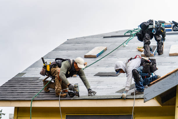 Professional Roofing technician working in Danevang, TX